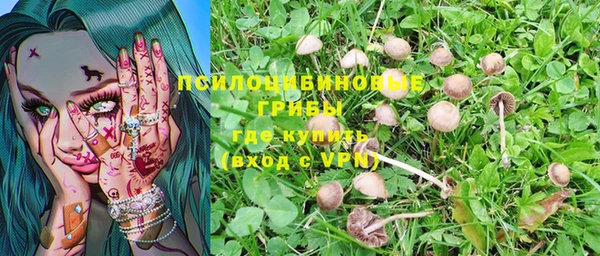 герыч Пестово