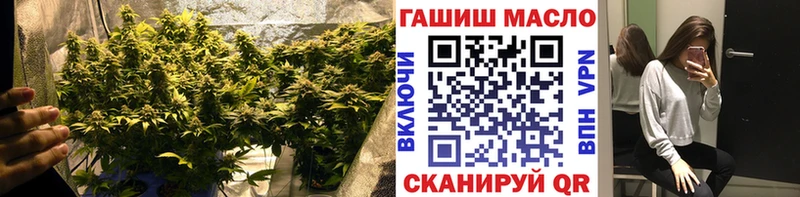 цены наркотик  Туринск  ТГК концентрат 