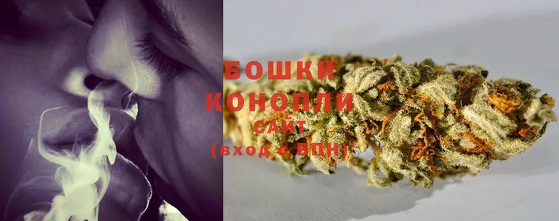 Каннабис Bruce Banner  цена   Туринск 